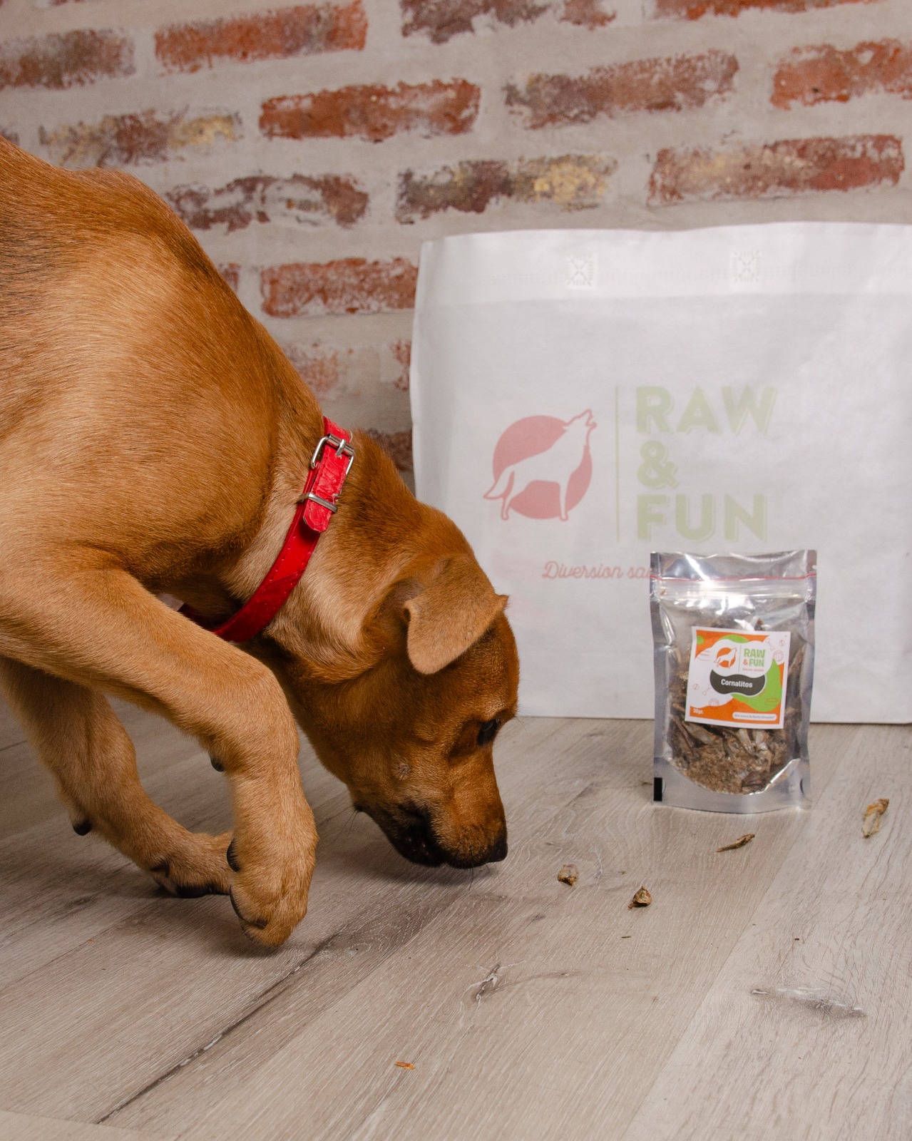 Imagen de mascota contenta